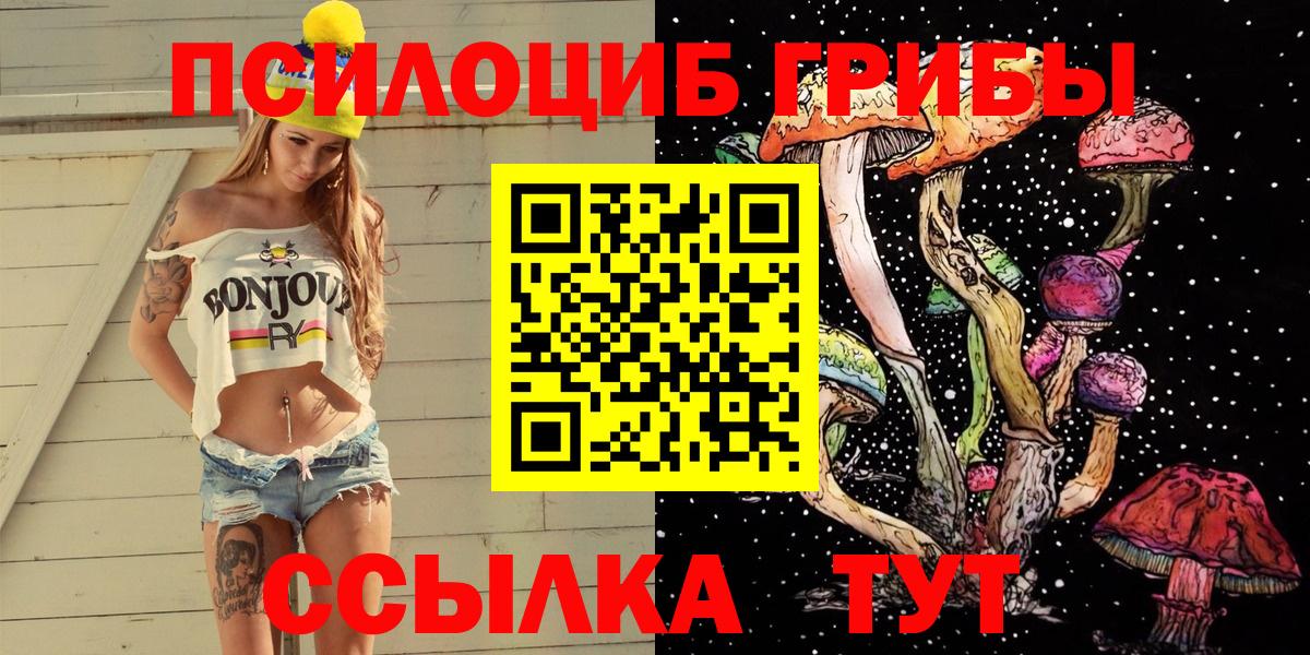 Галлюциногенные грибы прущие грибы Губаха