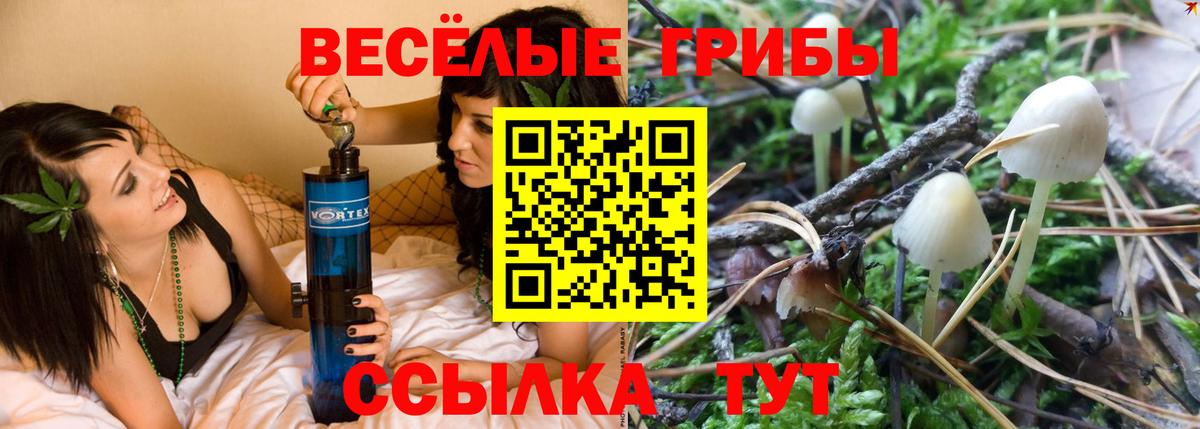 Псилоцибиновые грибы мицелий  Вход с VPN  Губаха  Галлюциногенные грибы прущие грибы 